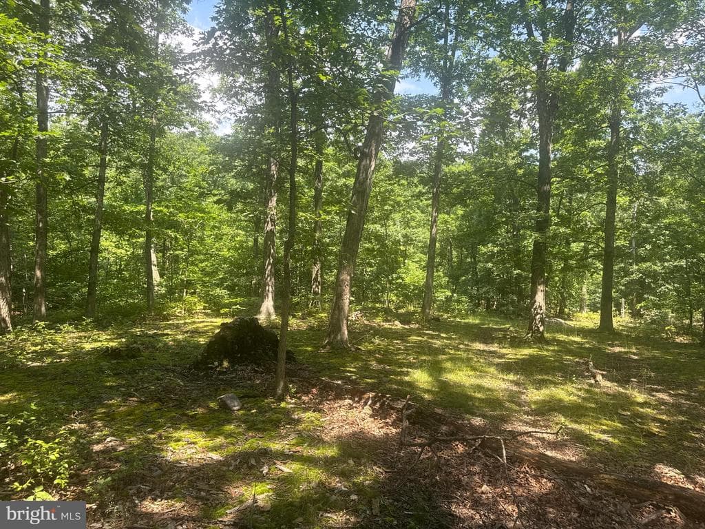 Property photo #53 for 42.68+/- Acres on Hunter Rd, Mercersburg, PA 17236
