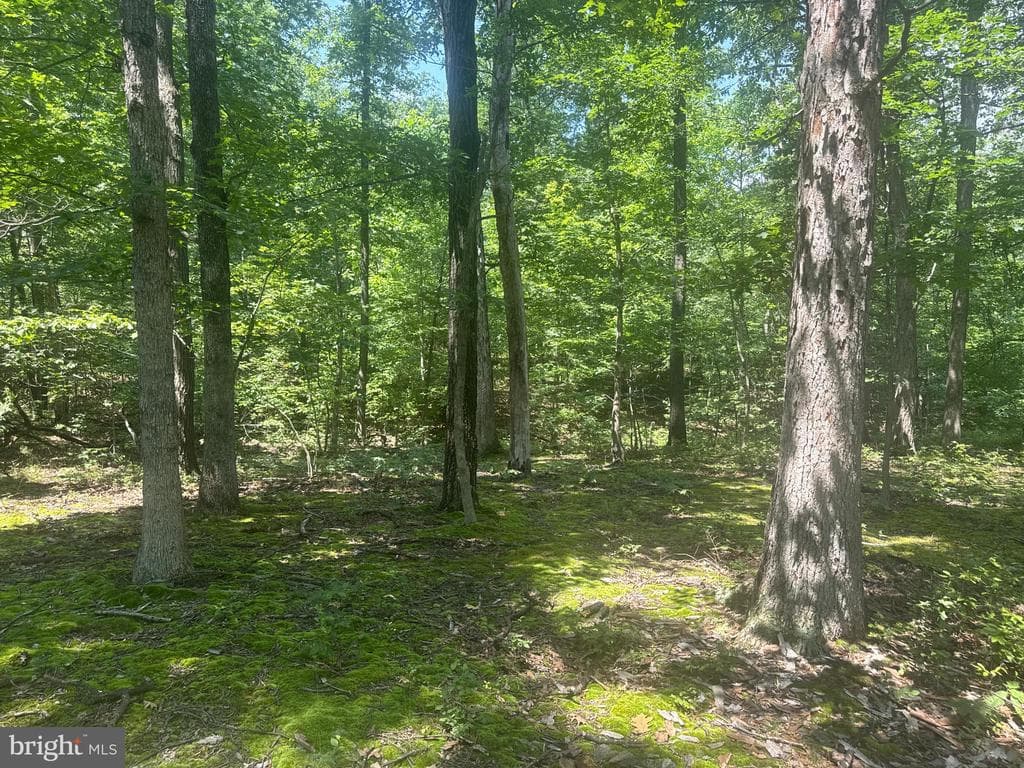 Property photo #54 for 42.68+/- Acres on Hunter Rd, Mercersburg, PA 17236