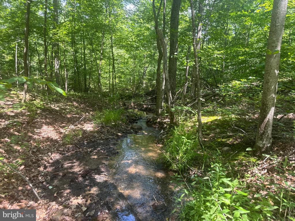 Property photo #56 for 42.68+/- Acres on Hunter Rd, Mercersburg, PA 17236