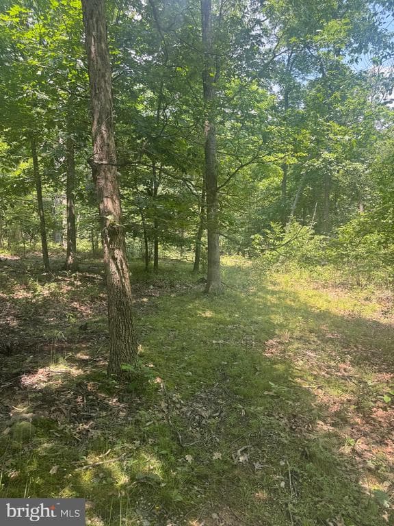Property photo #58 for 42.68+/- Acres on Hunter Rd, Mercersburg, PA 17236