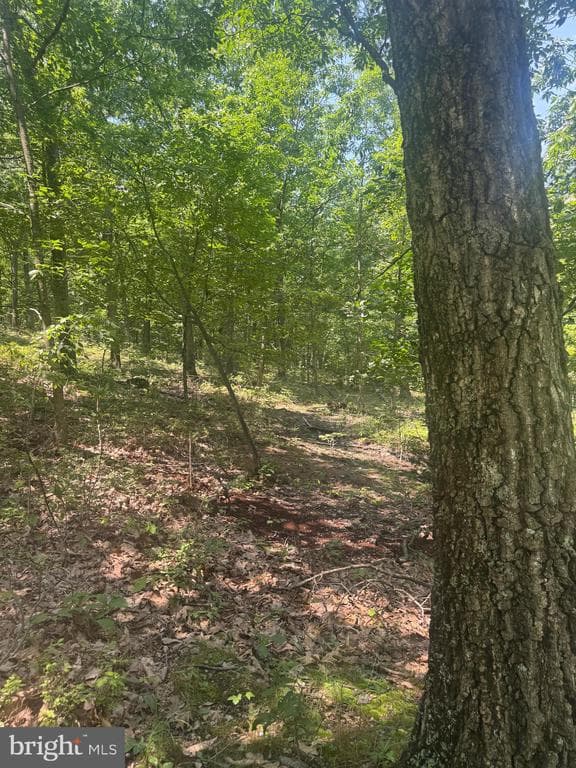 Property photo #59 for 42.68+/- Acres on Hunter Rd, Mercersburg, PA 17236