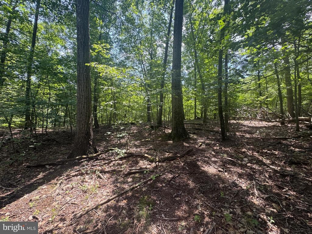 Property photo #61 for 42.68+/- Acres on Hunter Rd, Mercersburg, PA 17236