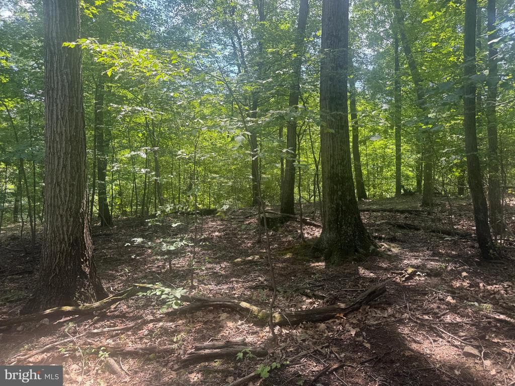 Property photo #62 for 42.68+/- Acres on Hunter Rd, Mercersburg, PA 17236