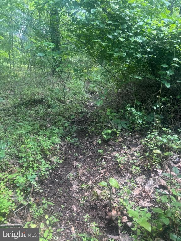 Property photo #64 for 42.68+/- Acres on Hunter Rd, Mercersburg, PA 17236