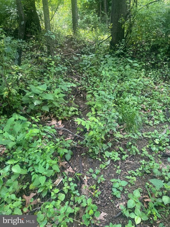 Property photo #66 for 42.68+/- Acres on Hunter Rd, Mercersburg, PA 17236