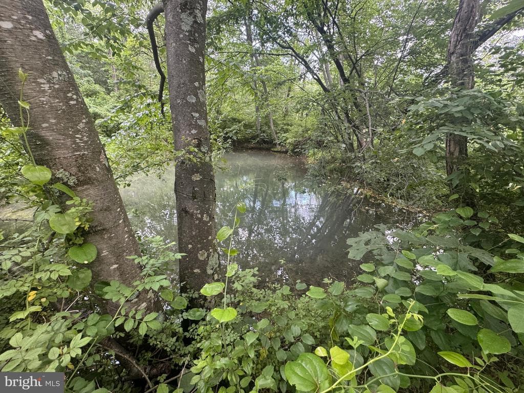 Property photo #67 for 42.68+/- Acres on Hunter Rd, Mercersburg, PA 17236
