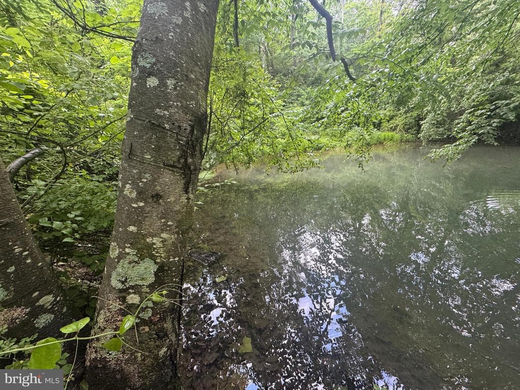Property photo #69 for 42.68+/- Acres on Hunter Rd, Mercersburg, PA 17236