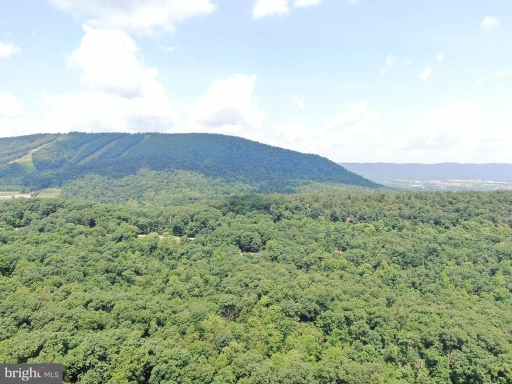 Property photo #7 for 42.68+/- Acres on Hunter Rd, Mercersburg, PA 17236