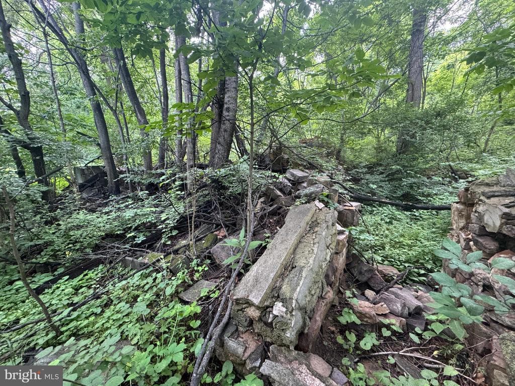 Property photo #71 for 42.68+/- Acres on Hunter Rd, Mercersburg, PA 17236