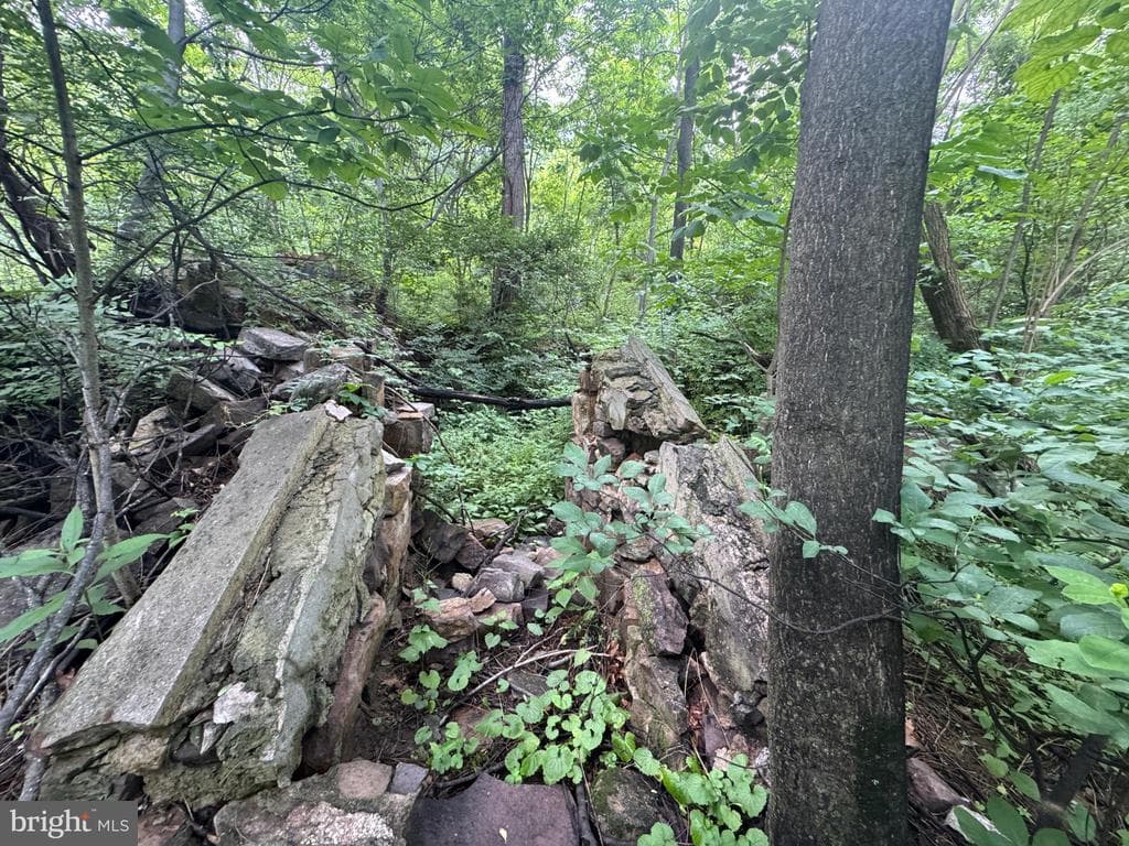 Property photo #72 for 42.68+/- Acres on Hunter Rd, Mercersburg, PA 17236
