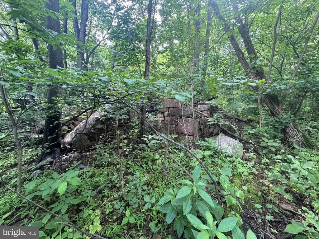 Property photo #73 for 42.68+/- Acres on Hunter Rd, Mercersburg, PA 17236