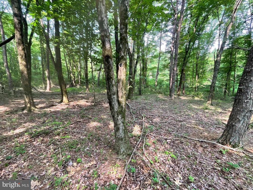 Property photo #14 for 52+/- Acres off Jim Smith Ln, New Windsor, MD 21776