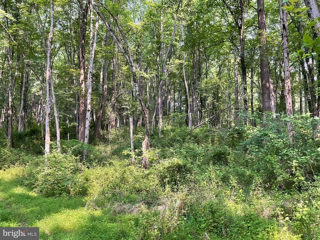 Property photo #15 for 52+/- Acres off Jim Smith Ln, New Windsor, MD 21776