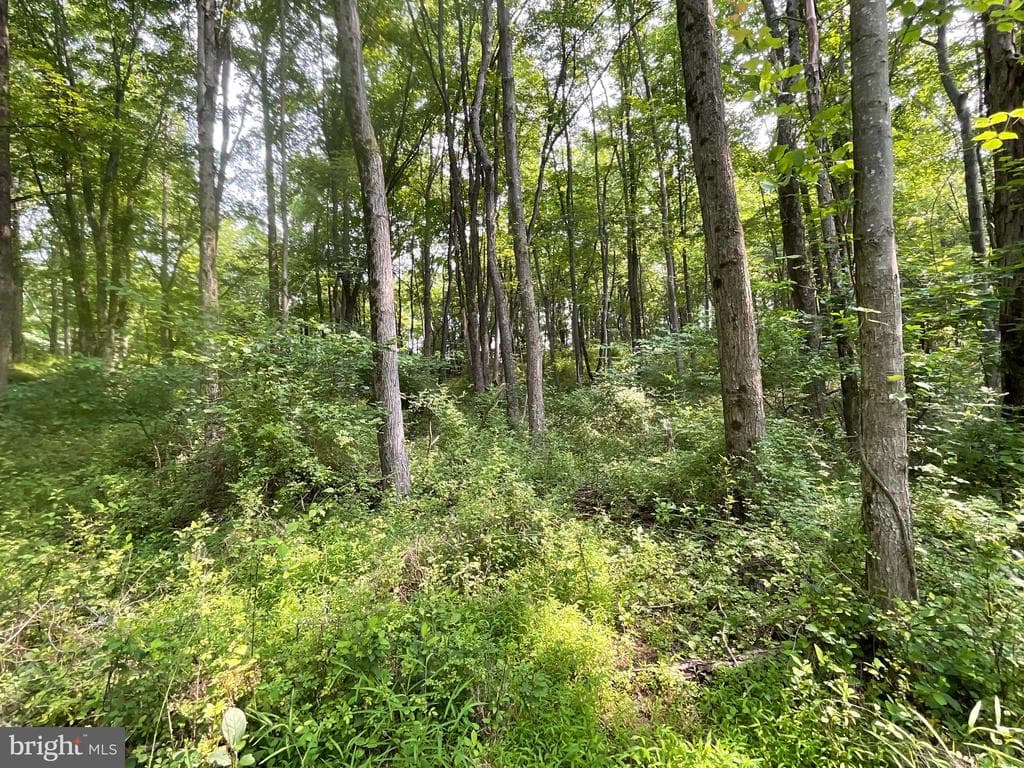 Property photo #16 for 52+/- Acres off Jim Smith Ln, New Windsor, MD 21776
