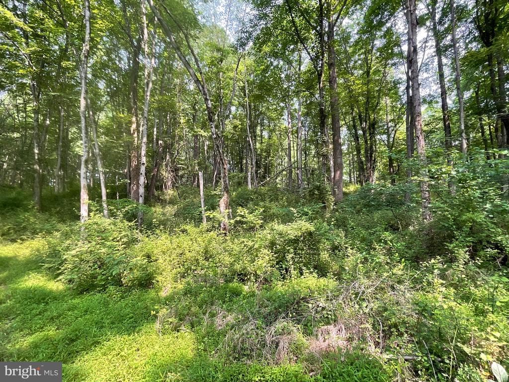 Property photo #17 for 52+/- Acres off Jim Smith Ln, New Windsor, MD 21776
