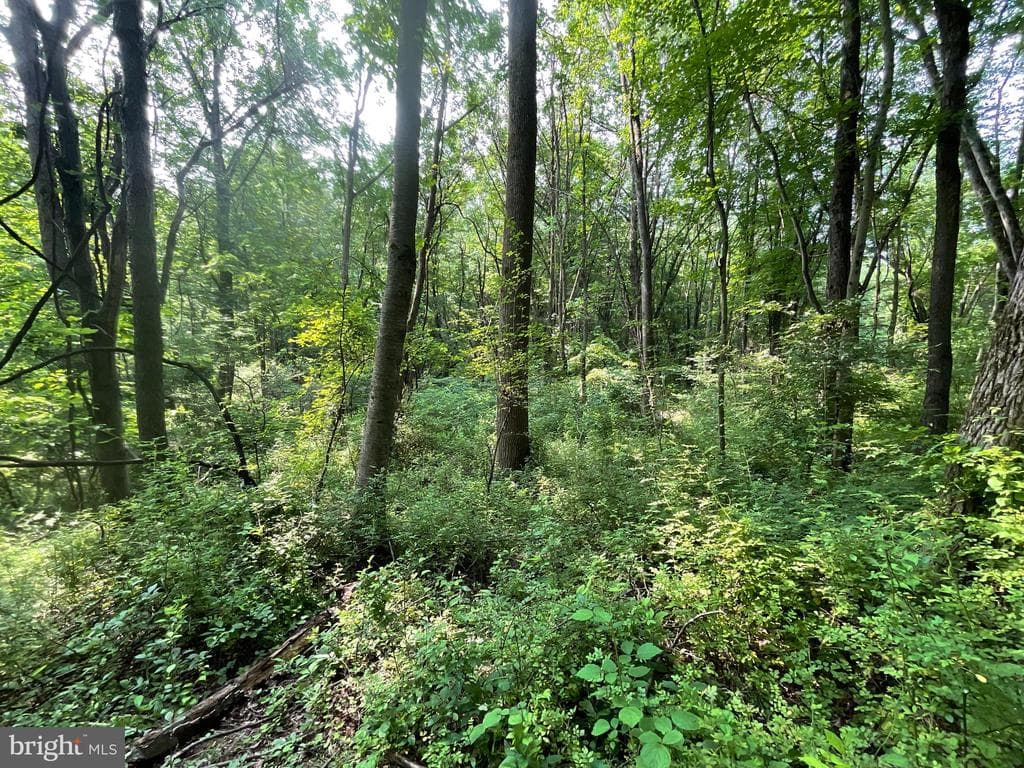 Property photo #19 for 52+/- Acres off Jim Smith Ln, New Windsor, MD 21776