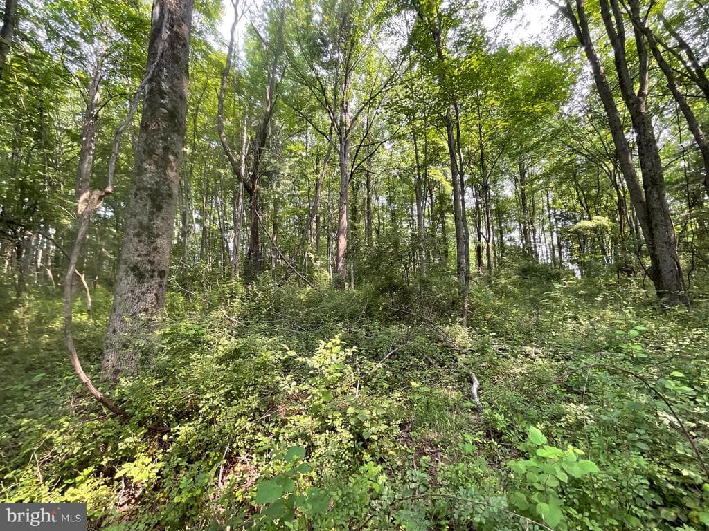 Property photo #20 for 52+/- Acres off Jim Smith Ln, New Windsor, MD 21776
