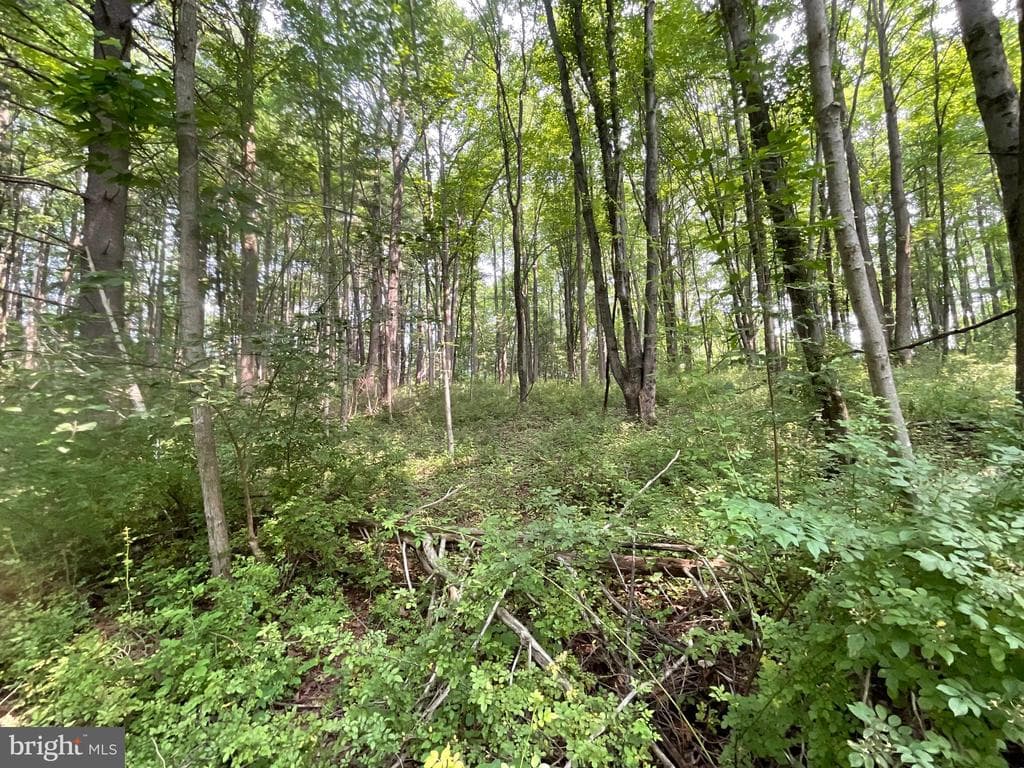 Property photo #21 for 52+/- Acres off Jim Smith Ln, New Windsor, MD 21776
