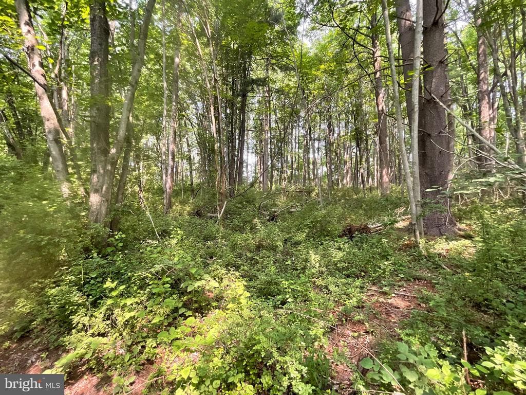 Property photo #22 for 52+/- Acres off Jim Smith Ln, New Windsor, MD 21776