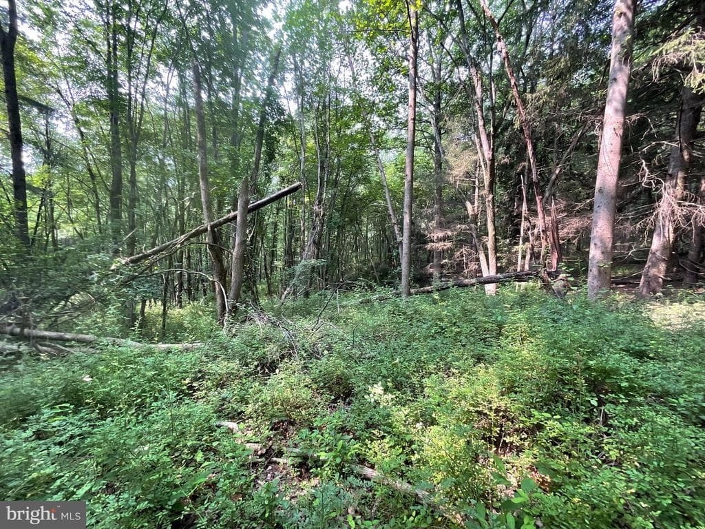 Property photo #23 for 52+/- Acres off Jim Smith Ln, New Windsor, MD 21776