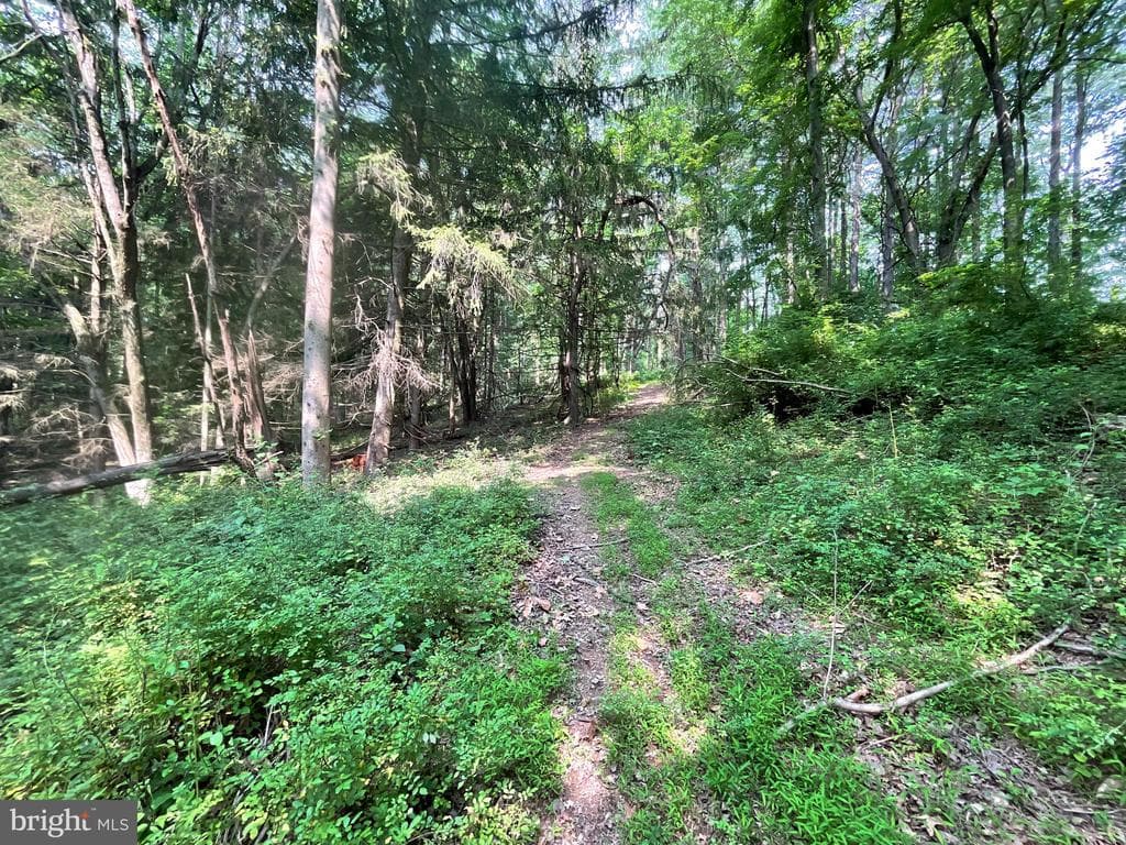 Property photo #24 for 52+/- Acres off Jim Smith Ln, New Windsor, MD 21776