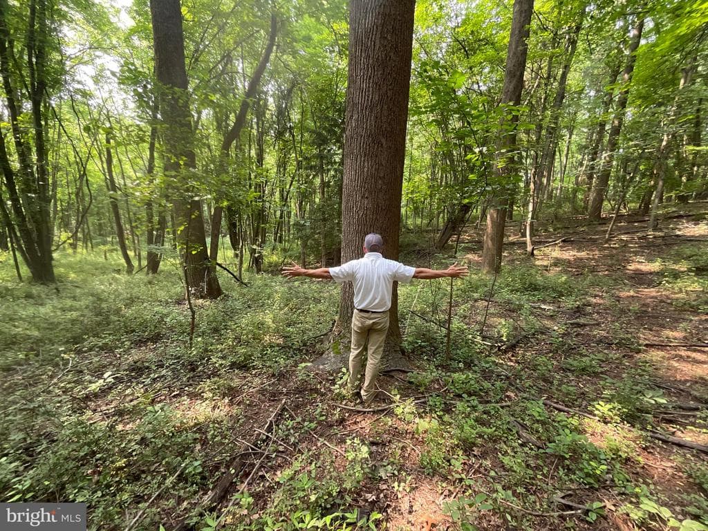 Property photo #26 for 52+/- Acres off Jim Smith Ln, New Windsor, MD 21776