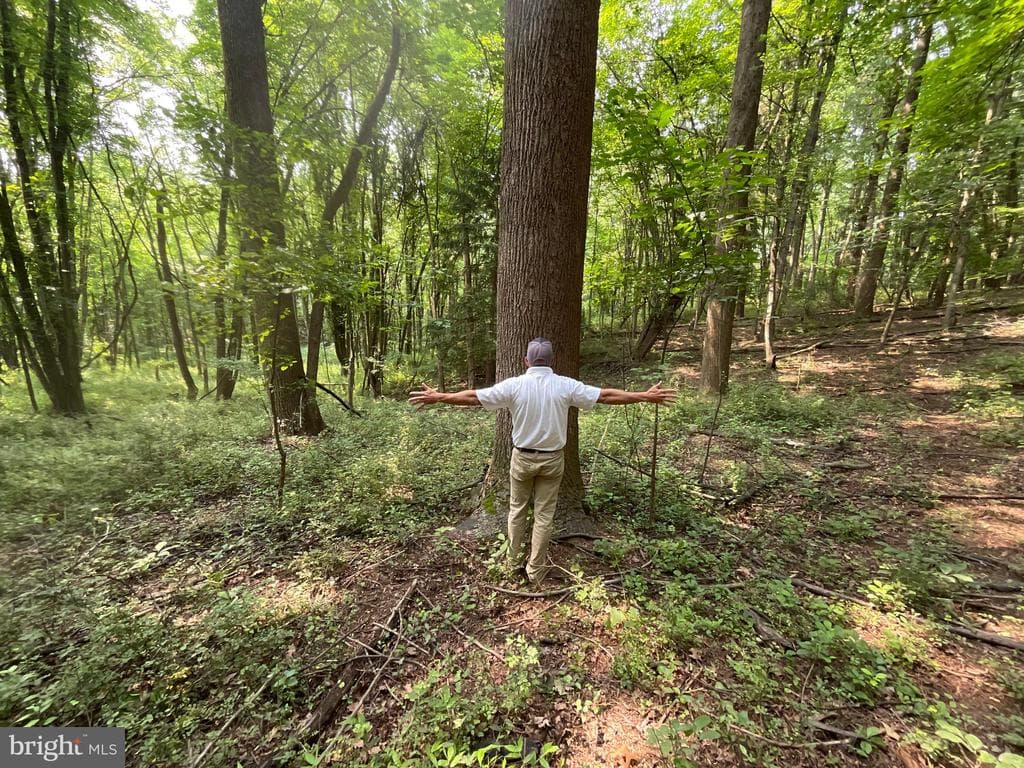 Property photo #27 for 52+/- Acres off Jim Smith Ln, New Windsor, MD 21776