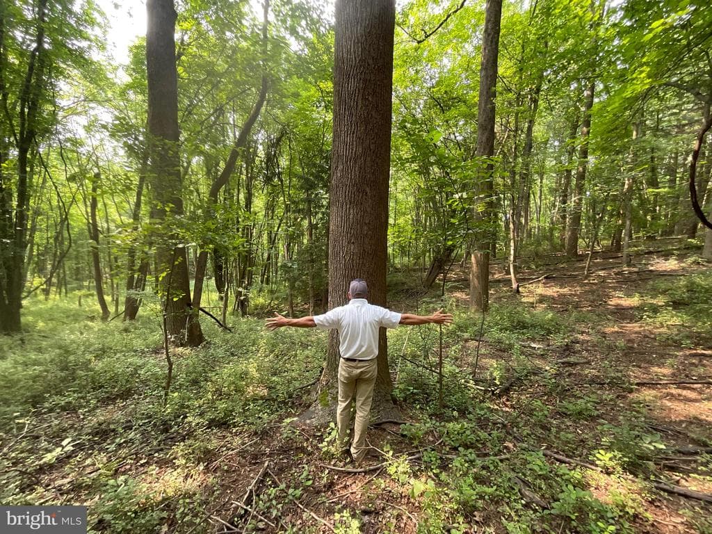 Property photo #28 for 52+/- Acres off Jim Smith Ln, New Windsor, MD 21776