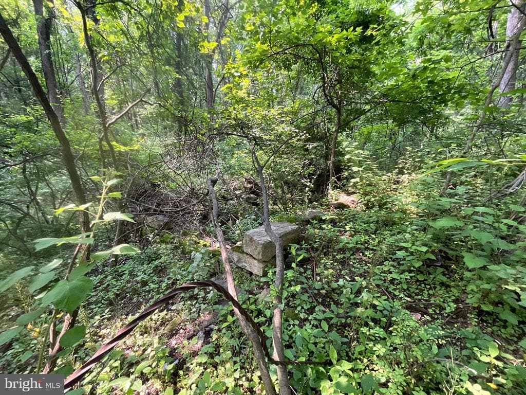 Property photo #29 for 52+/- Acres off Jim Smith Ln, New Windsor, MD 21776