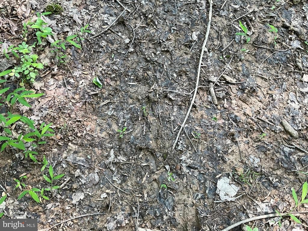 Property photo #31 for 52+/- Acres off Jim Smith Ln, New Windsor, MD 21776
