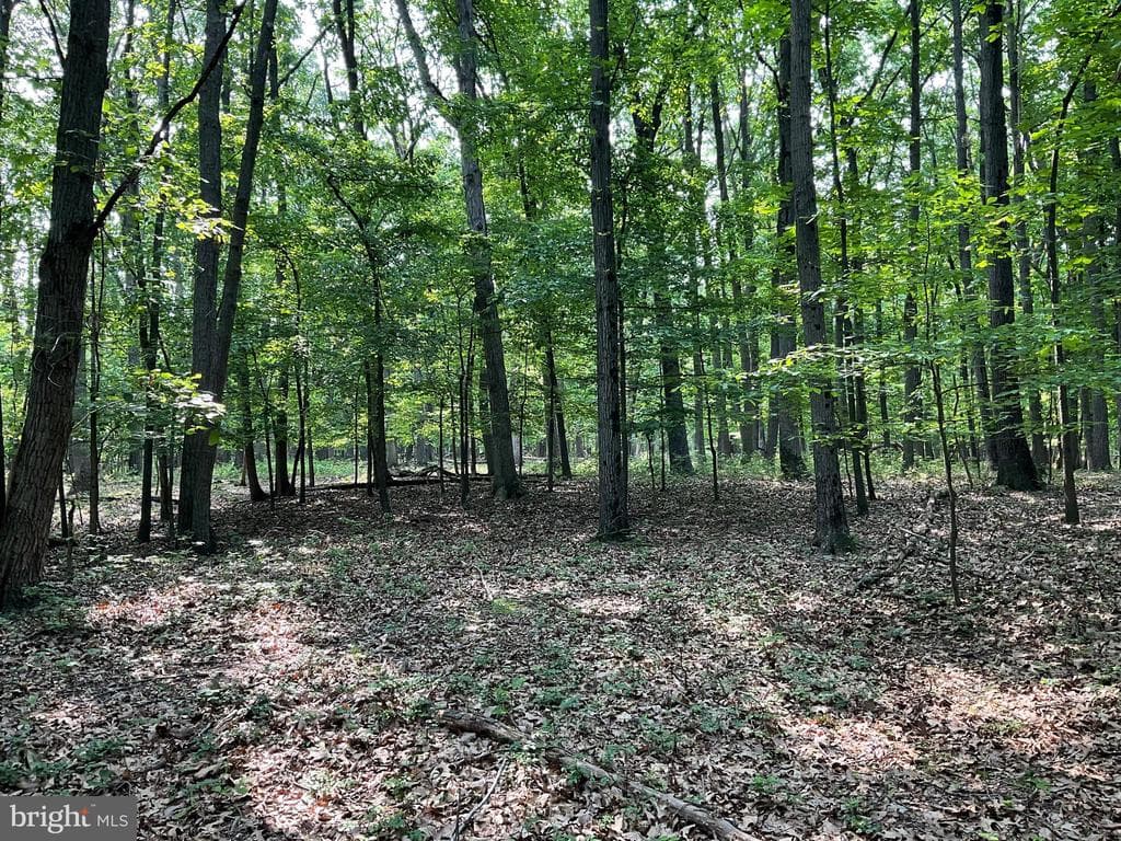 Property photo #35 for 52+/- Acres off Jim Smith Ln, New Windsor, MD 21776