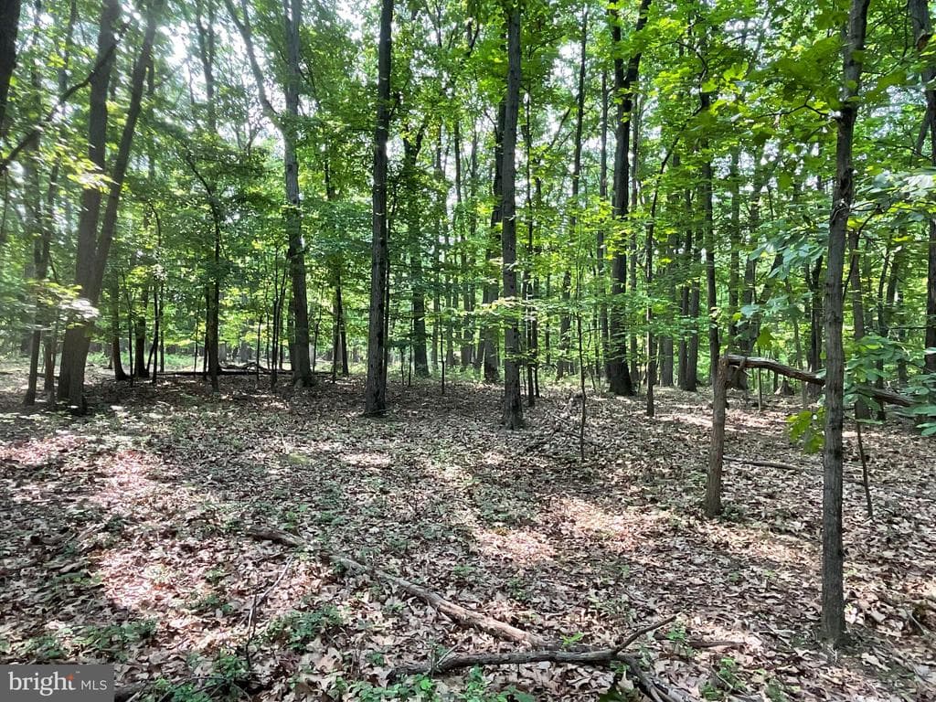 Property photo #36 for 52+/- Acres off Jim Smith Ln, New Windsor, MD 21776