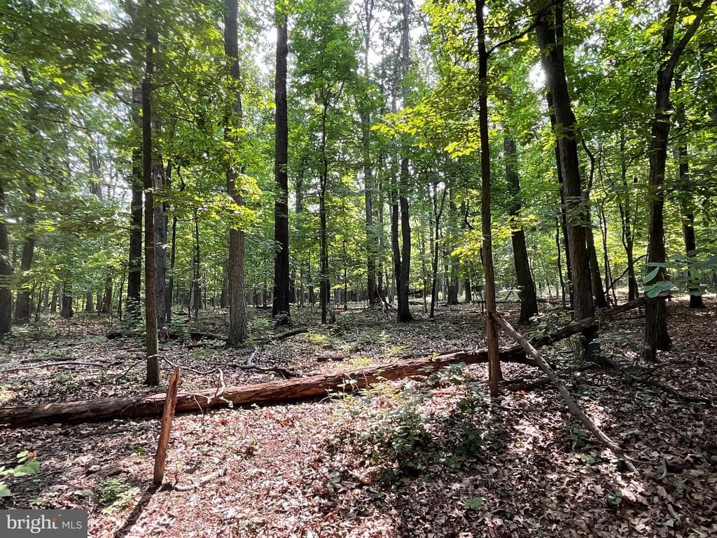Property photo #37 for 52+/- Acres off Jim Smith Ln, New Windsor, MD 21776