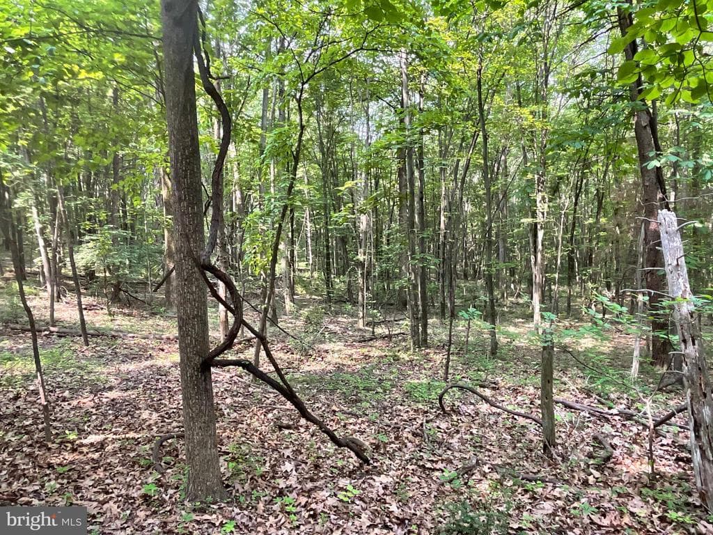 Property photo #38 for 52+/- Acres off Jim Smith Ln, New Windsor, MD 21776