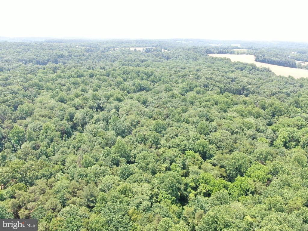 Property photo #7 for 52+/- Acres off Jim Smith Ln, New Windsor, MD 21776