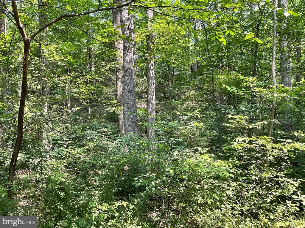 Property photo #1 for 13+/-  Acres off Buffalo Rd, New Windsor, MD 21776