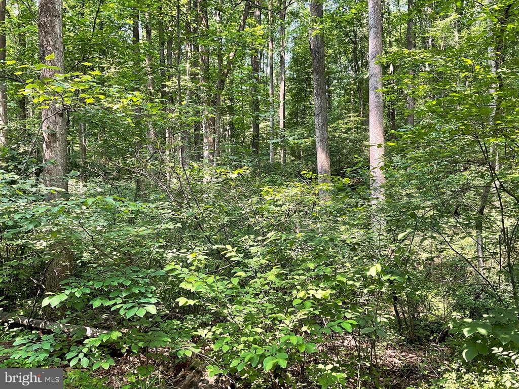 Property photo #2 for 13+/-  Acres off Buffalo Rd, New Windsor, MD 21776