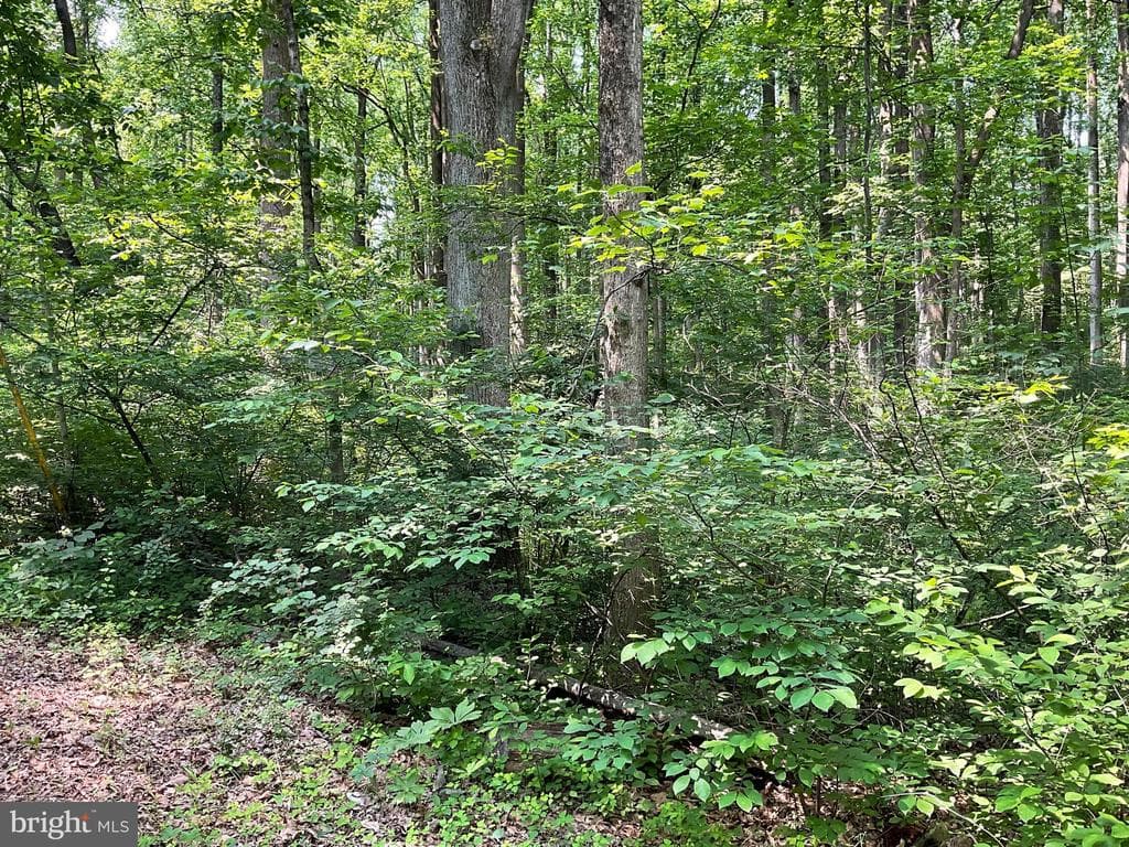Property photo #3 for 13+/-  Acres off Buffalo Rd, New Windsor, MD 21776
