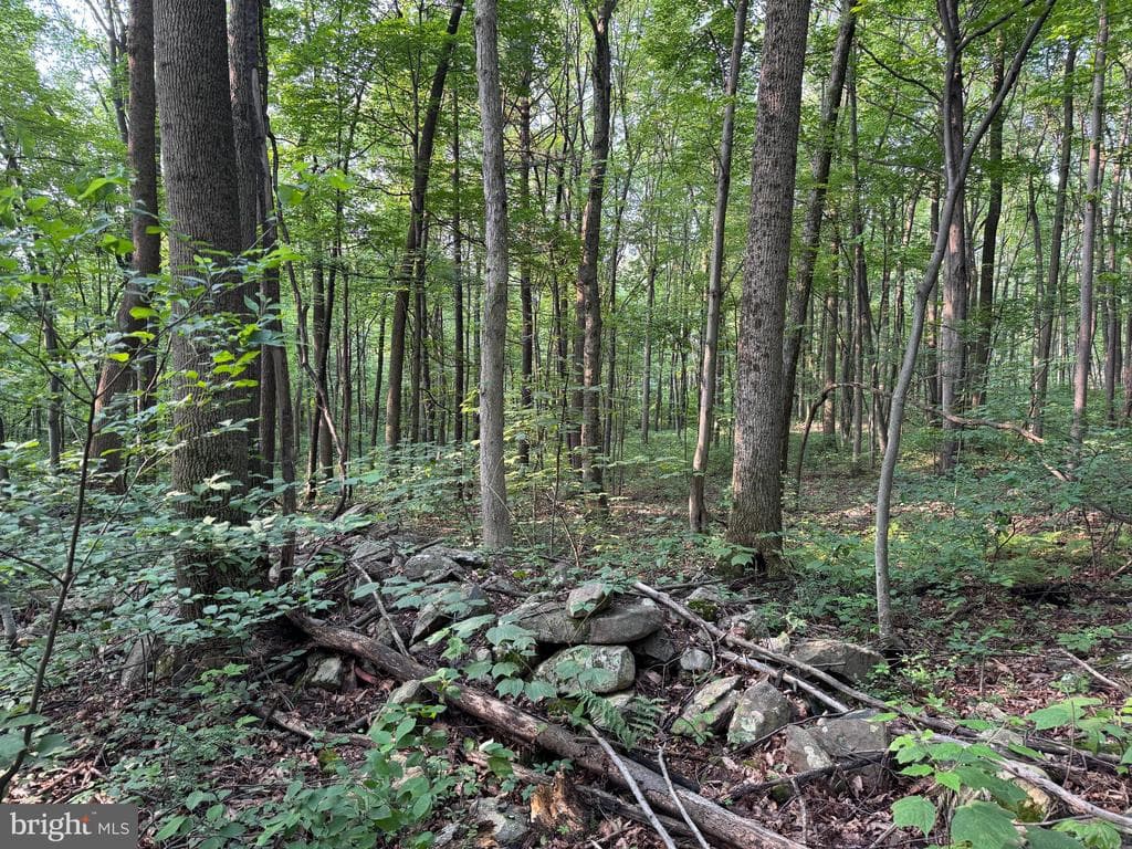 Property photo #1 for 5.5+/- Acres off Mountain Green Rd, Willow Hill, PA 17271