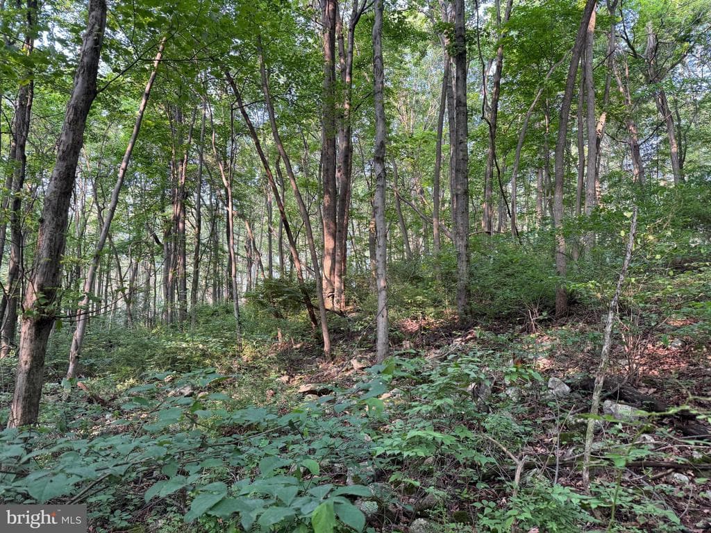 Property photo #10 for 5.5+/- Acres off Mountain Green Rd, Willow Hill, PA 17271