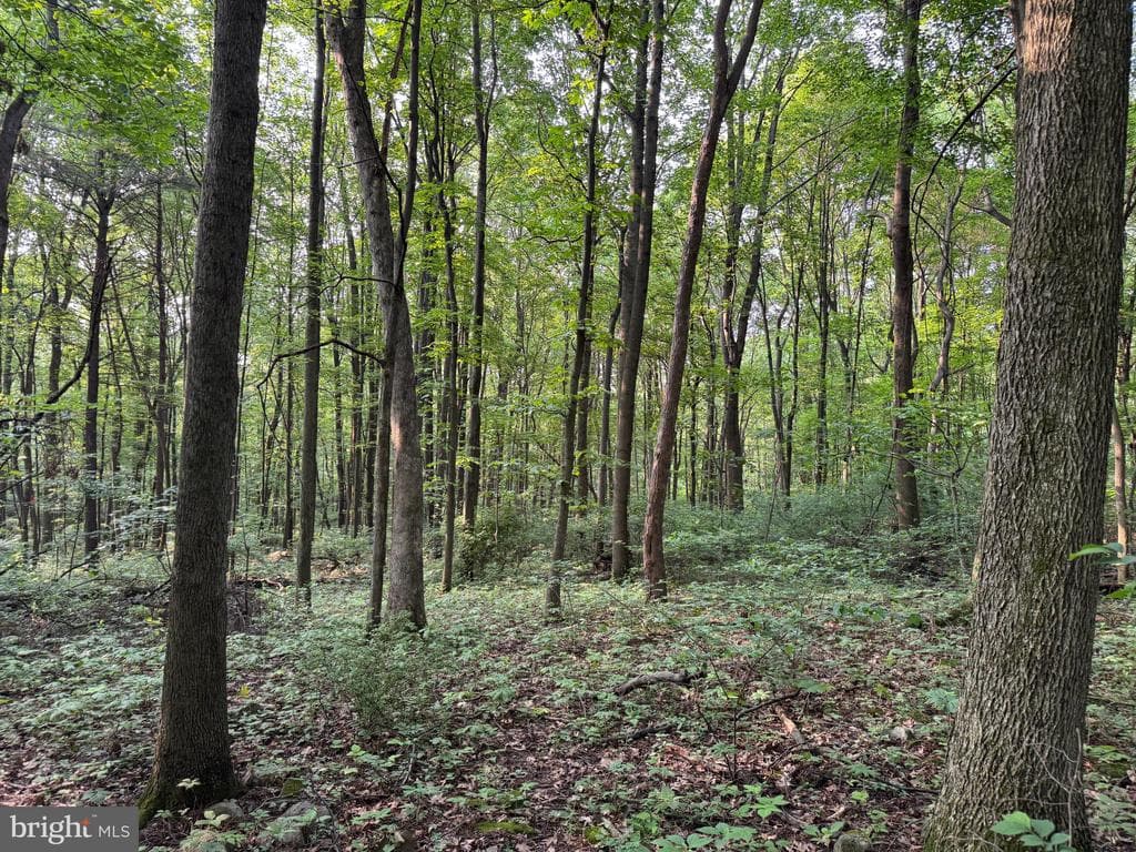 Property photo #11 for 5.5+/- Acres off Mountain Green Rd, Willow Hill, PA 17271