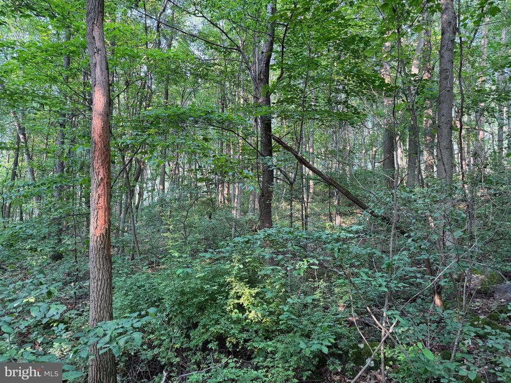 Property photo #12 for 5.5+/- Acres off Mountain Green Rd, Willow Hill, PA 17271
