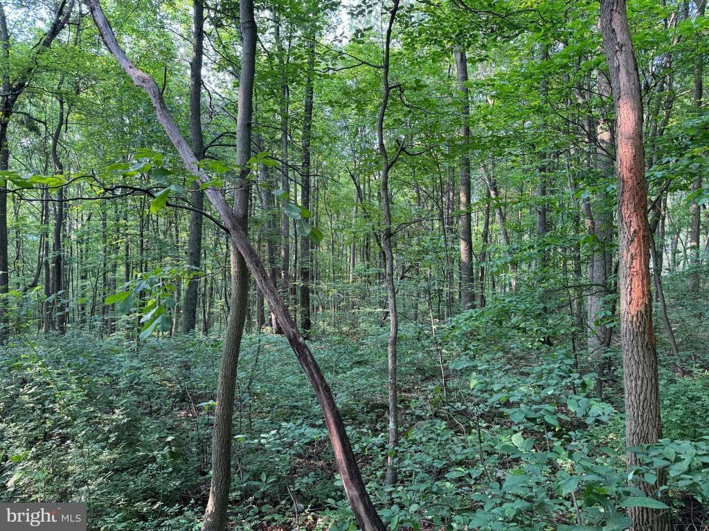 Property photo #13 for 5.5+/- Acres off Mountain Green Rd, Willow Hill, PA 17271