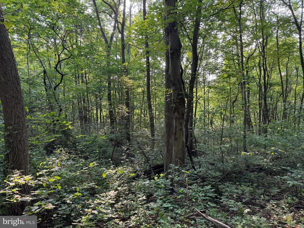 Property photo #14 for 5.5+/- Acres off Mountain Green Rd, Willow Hill, PA 17271