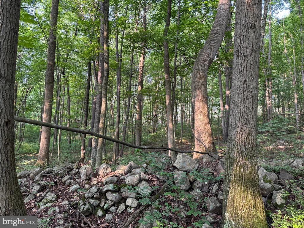 Property photo #15 for 5.5+/- Acres off Mountain Green Rd, Willow Hill, PA 17271