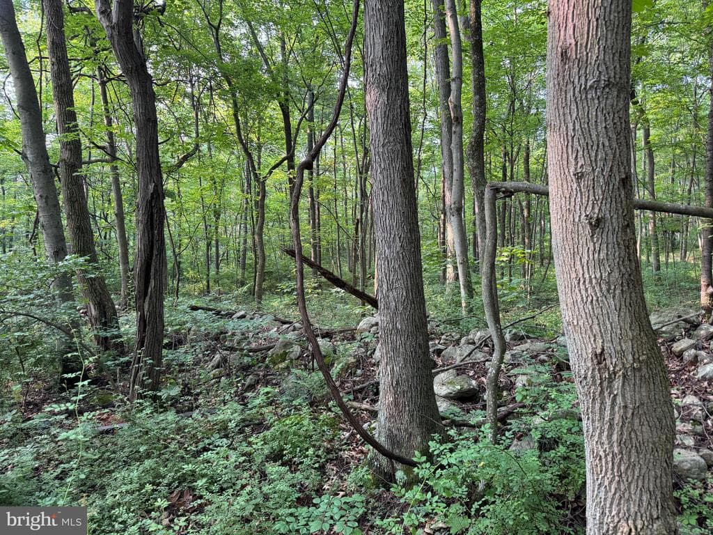 Property photo #16 for 5.5+/- Acres off Mountain Green Rd, Willow Hill, PA 17271