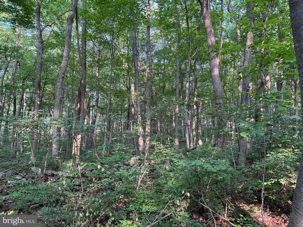 Property photo #17 for 5.5+/- Acres off Mountain Green Rd, Willow Hill, PA 17271