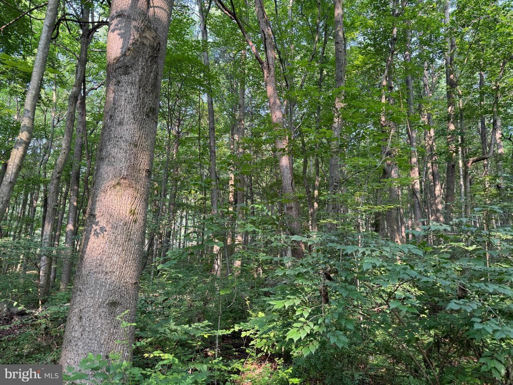 Property photo #18 for 5.5+/- Acres off Mountain Green Rd, Willow Hill, PA 17271