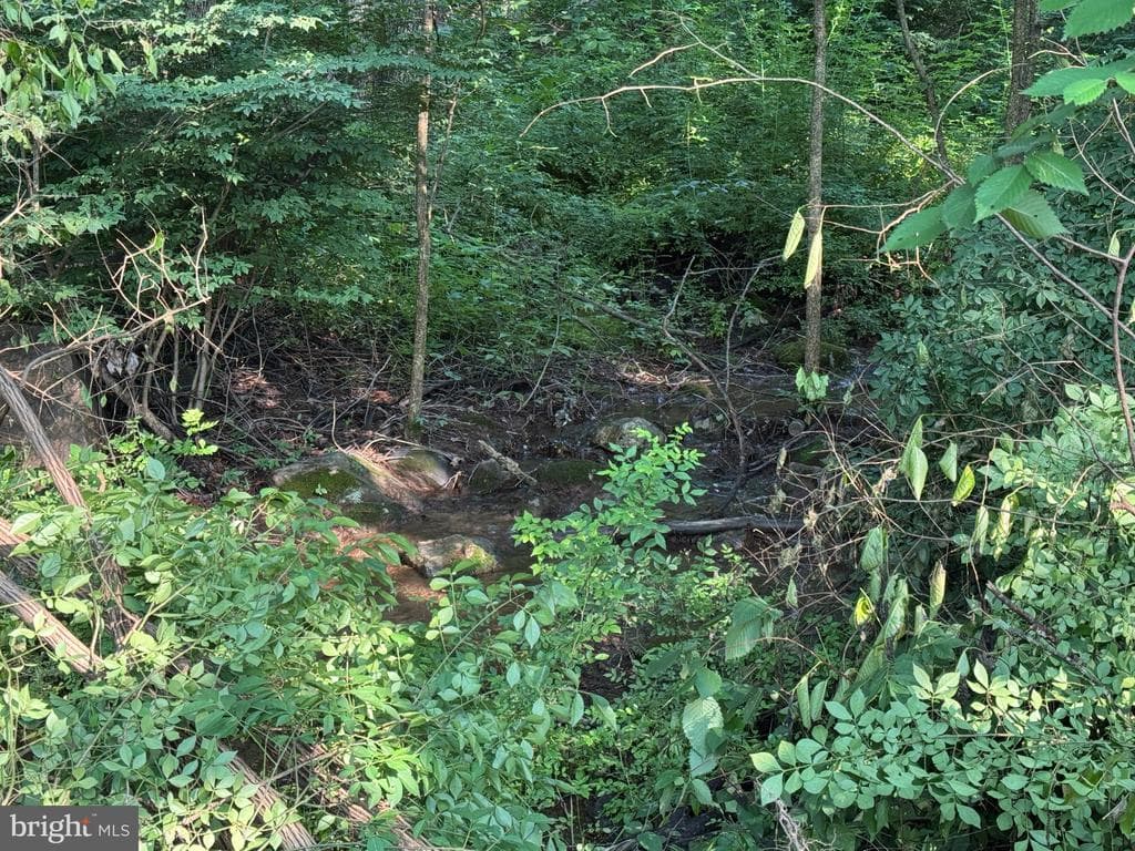 Property photo #19 for 5.5+/- Acres off Mountain Green Rd, Willow Hill, PA 17271