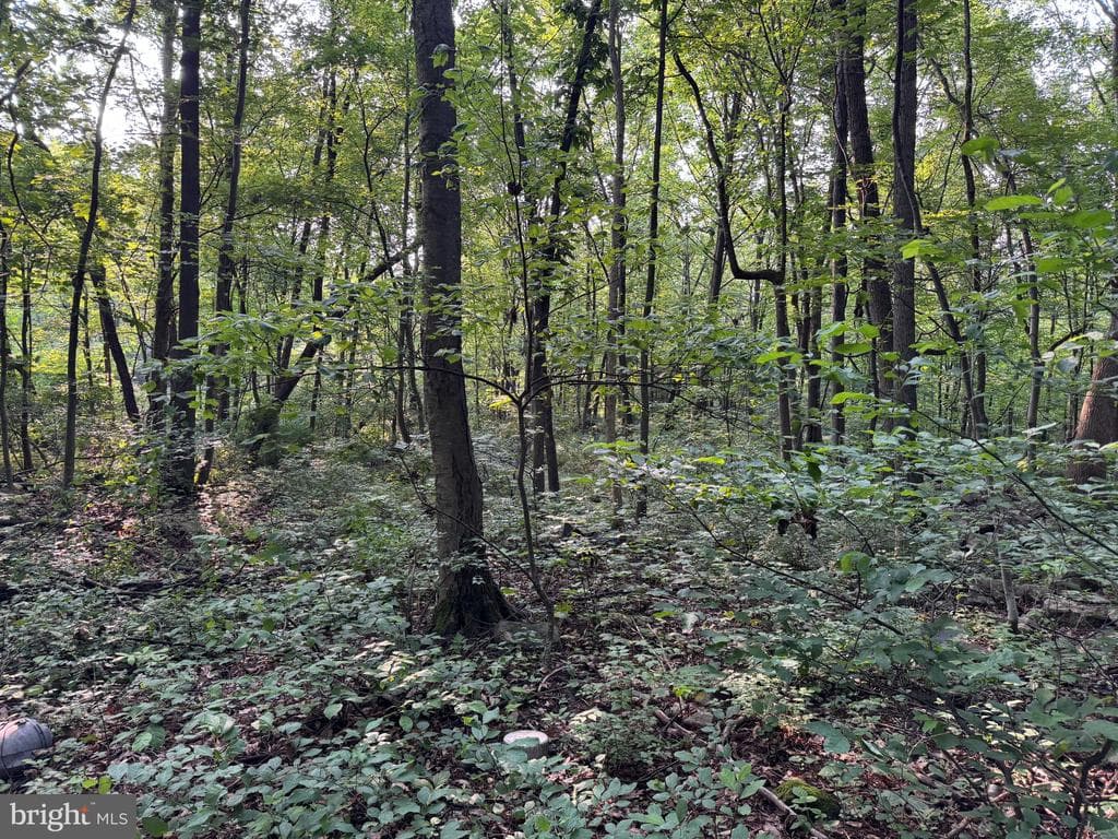 Property photo #2 for 5.5+/- Acres off Mountain Green Rd, Willow Hill, PA 17271